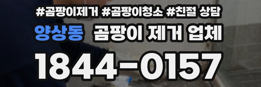 양상동 곰팡이 제거 업체