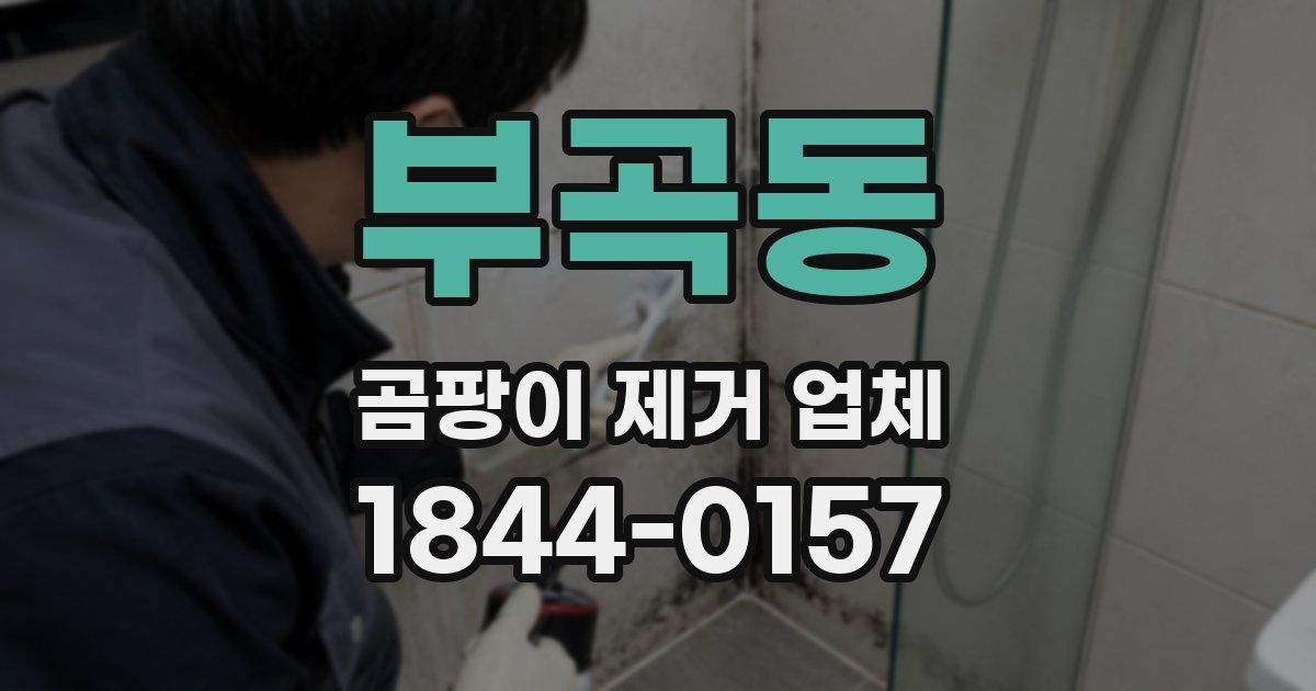 부곡동 곰팡이 제거 업체