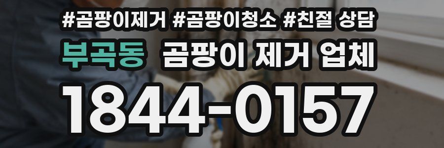 부곡동 곰팡이 제거 업체