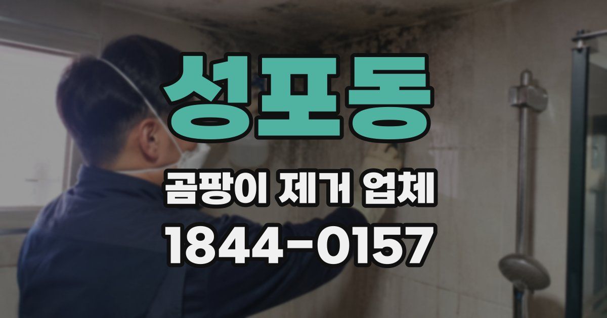 성포동 곰팡이 제거 업체