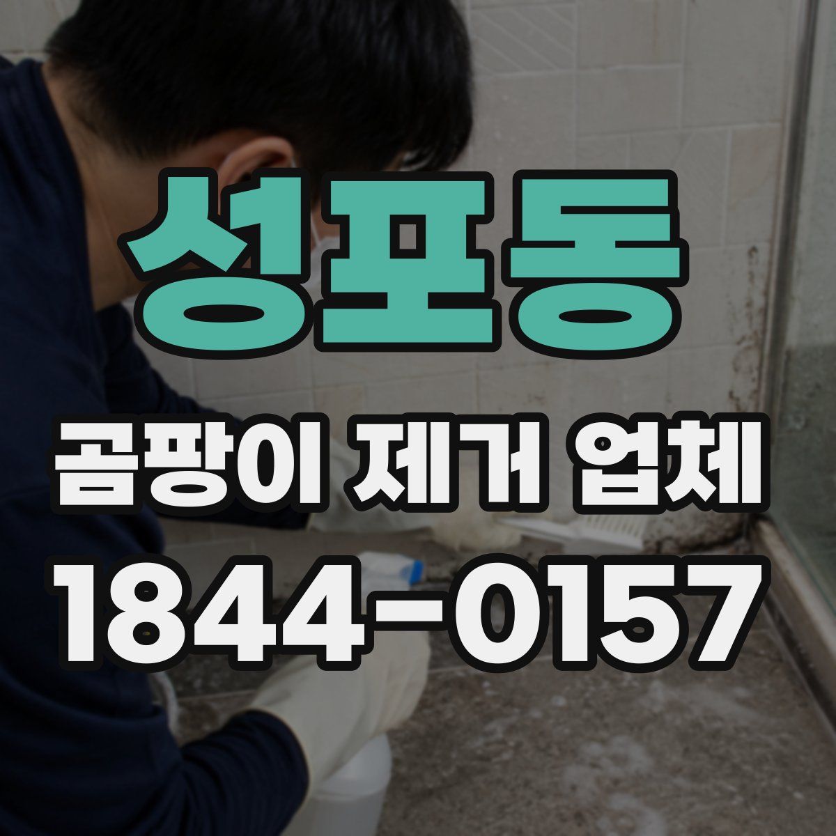성포동 곰팡이 제거 업체