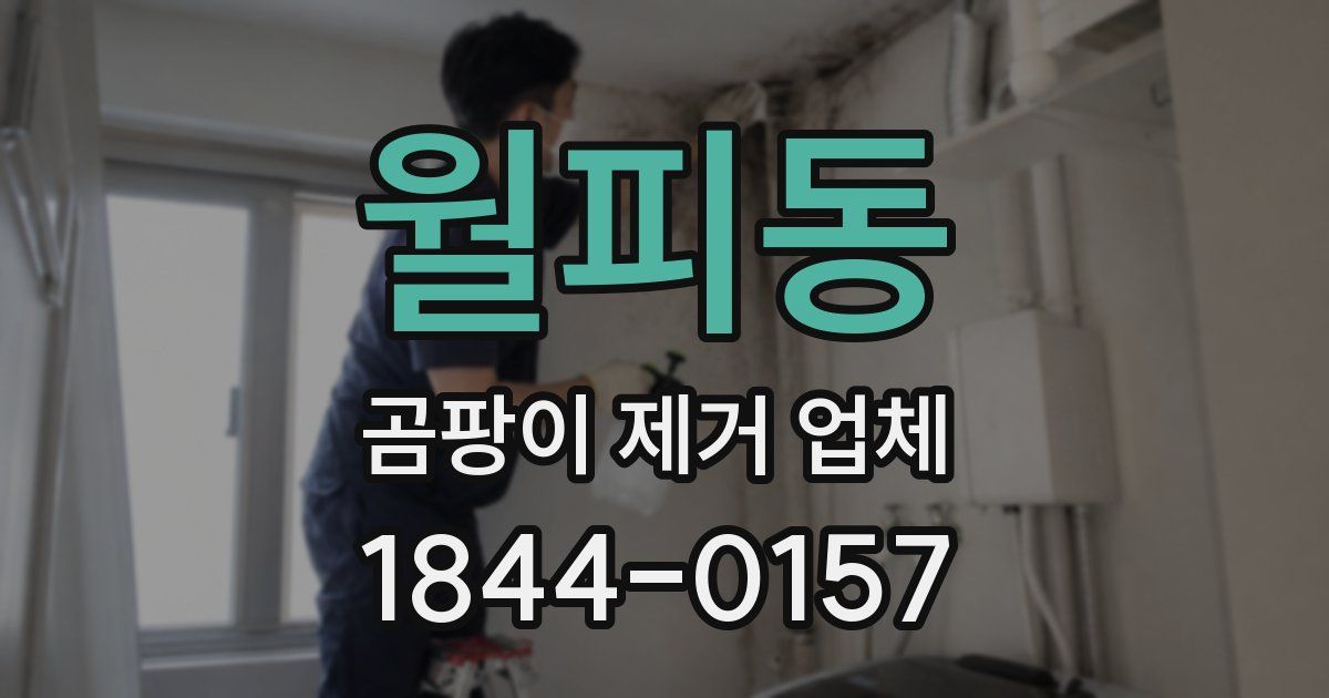 월피동 곰팡이 제거 업체