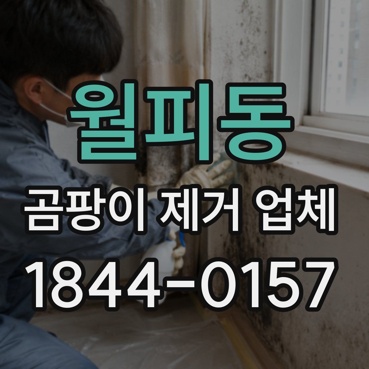 월피동 곰팡이 제거 업체