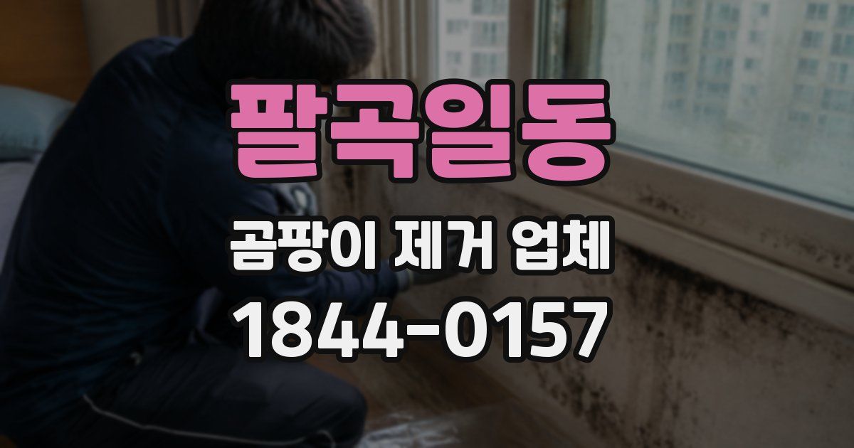 팔곡일동 곰팡이 제거 업체