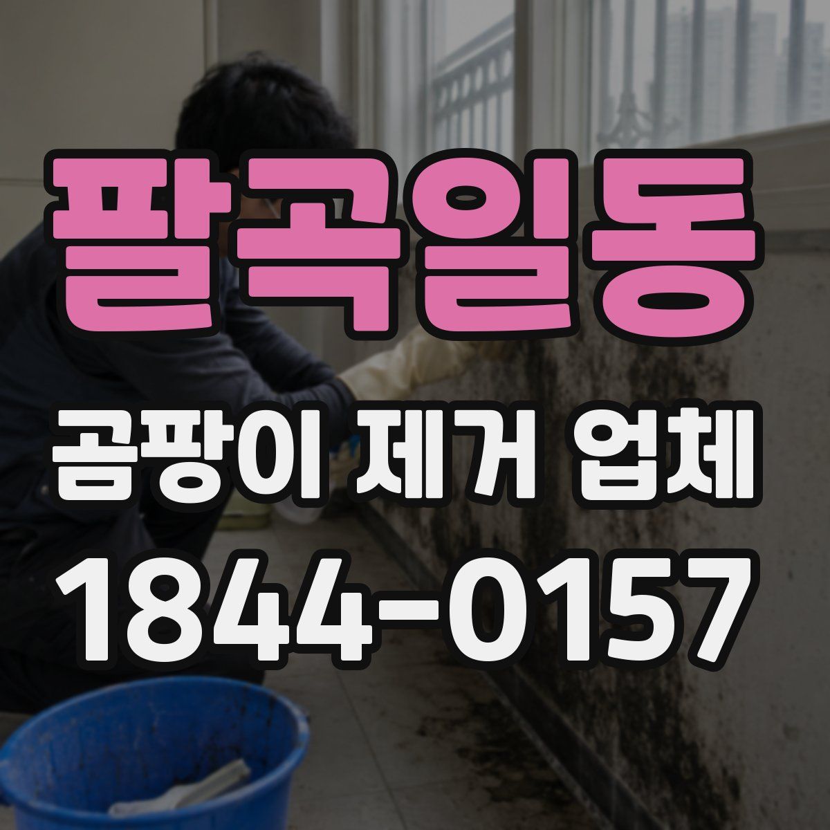 팔곡일동 곰팡이 제거 업체