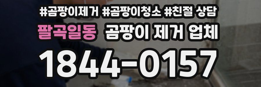 팔곡일동 곰팡이 제거 업체