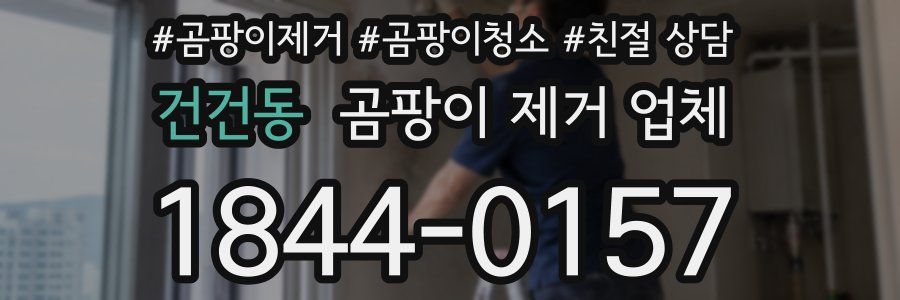 건건동 곰팡이 제거 업체