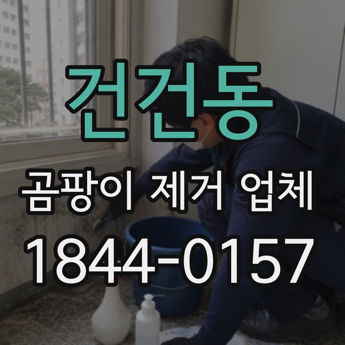 건건동 곰팡이 제거 업체