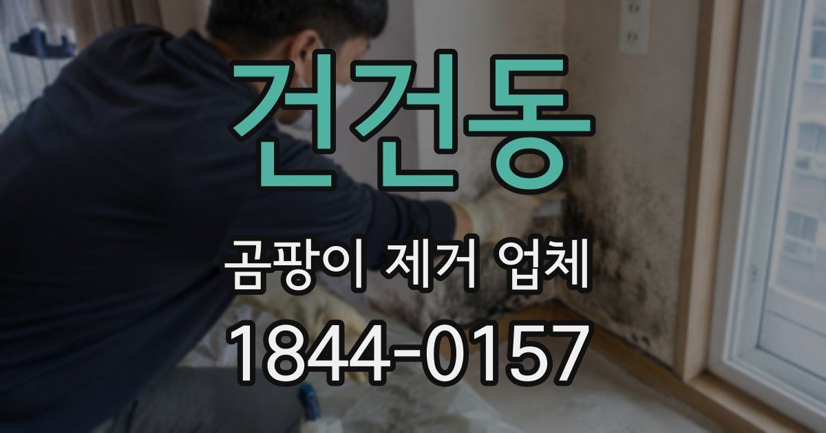 건건동 곰팡이 제거 업체