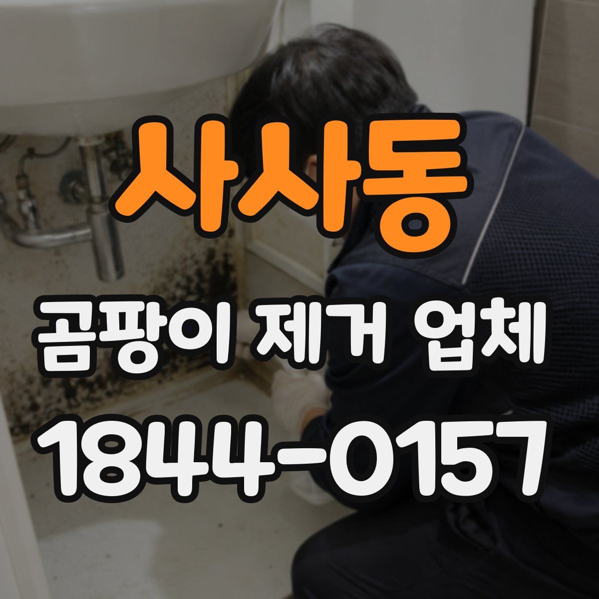 사사동 곰팡이 제거 업체