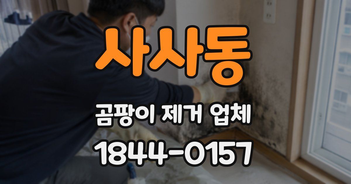 사사동 곰팡이 제거 업체