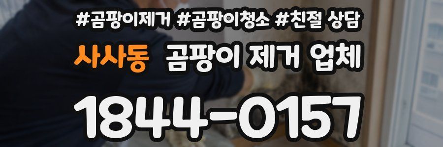 사사동 곰팡이 제거 업체