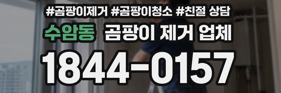 수암동 곰팡이 제거 업체
