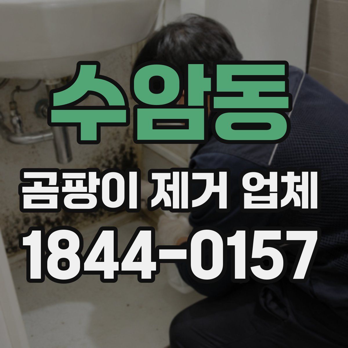 수암동 곰팡이 제거 업체
