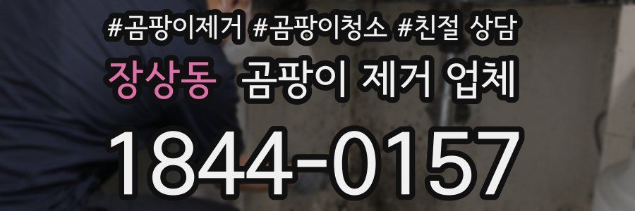 장상동 곰팡이 제거 업체
