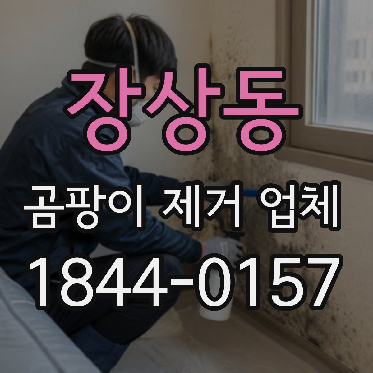 장상동 곰팡이 제거 업체