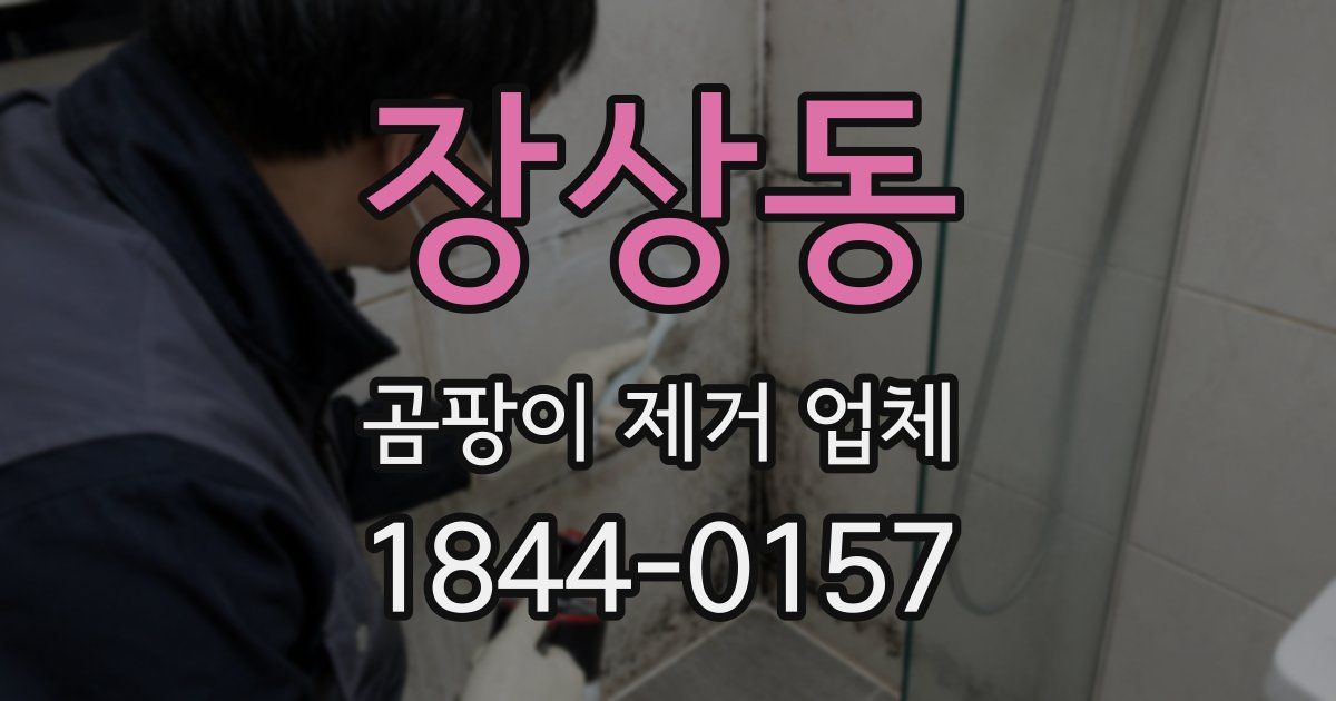 장상동 곰팡이 제거 업체