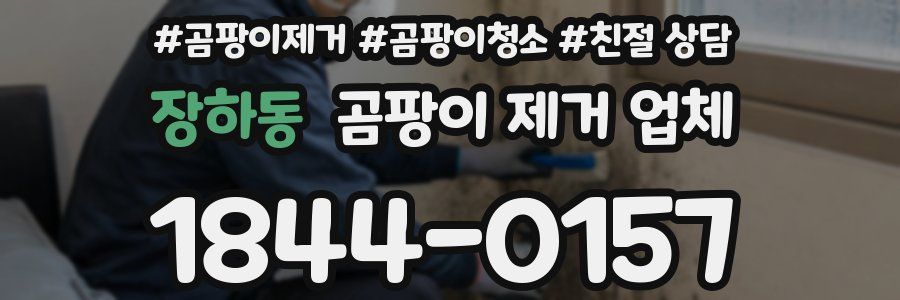 장하동 곰팡이 제거 업체