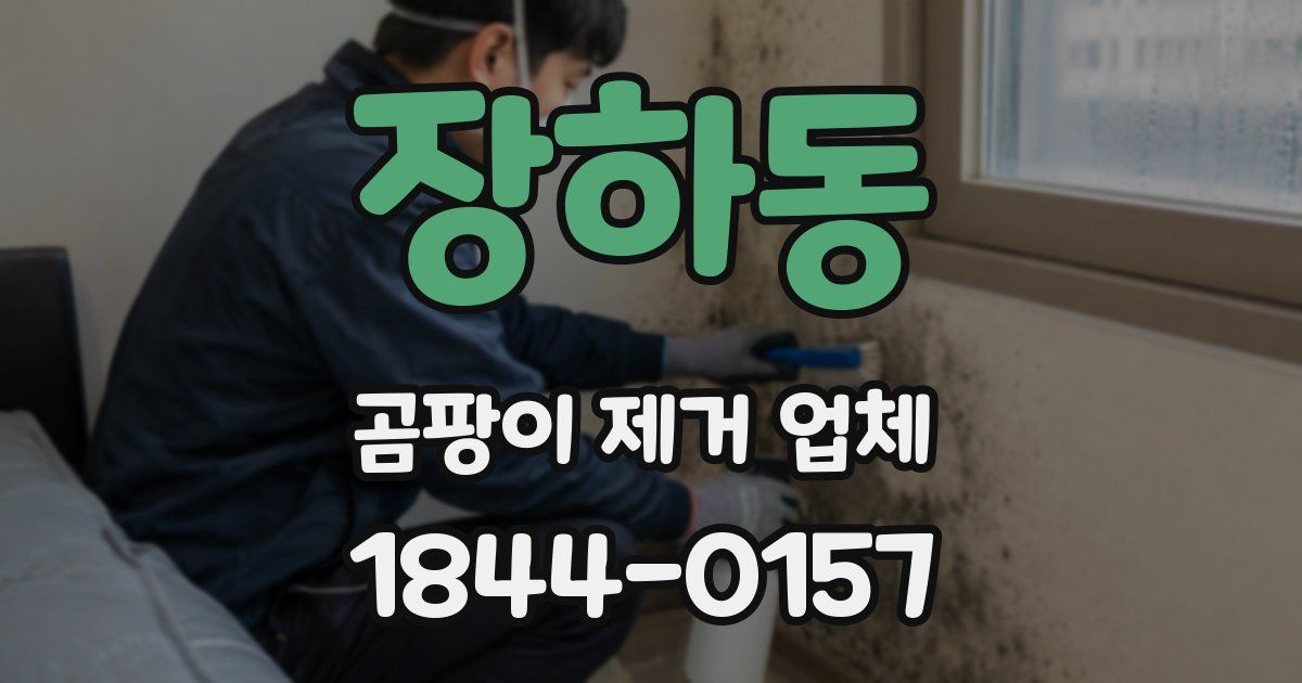 장하동 곰팡이 제거 업체