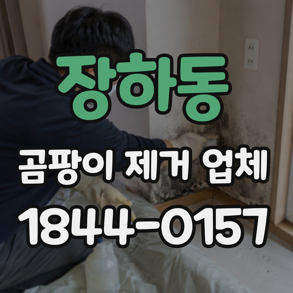 장하동 곰팡이 제거 업체