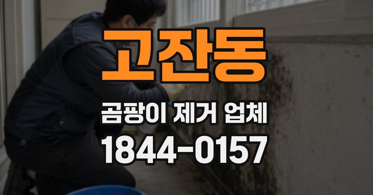 고잔동 곰팡이 제거 업체