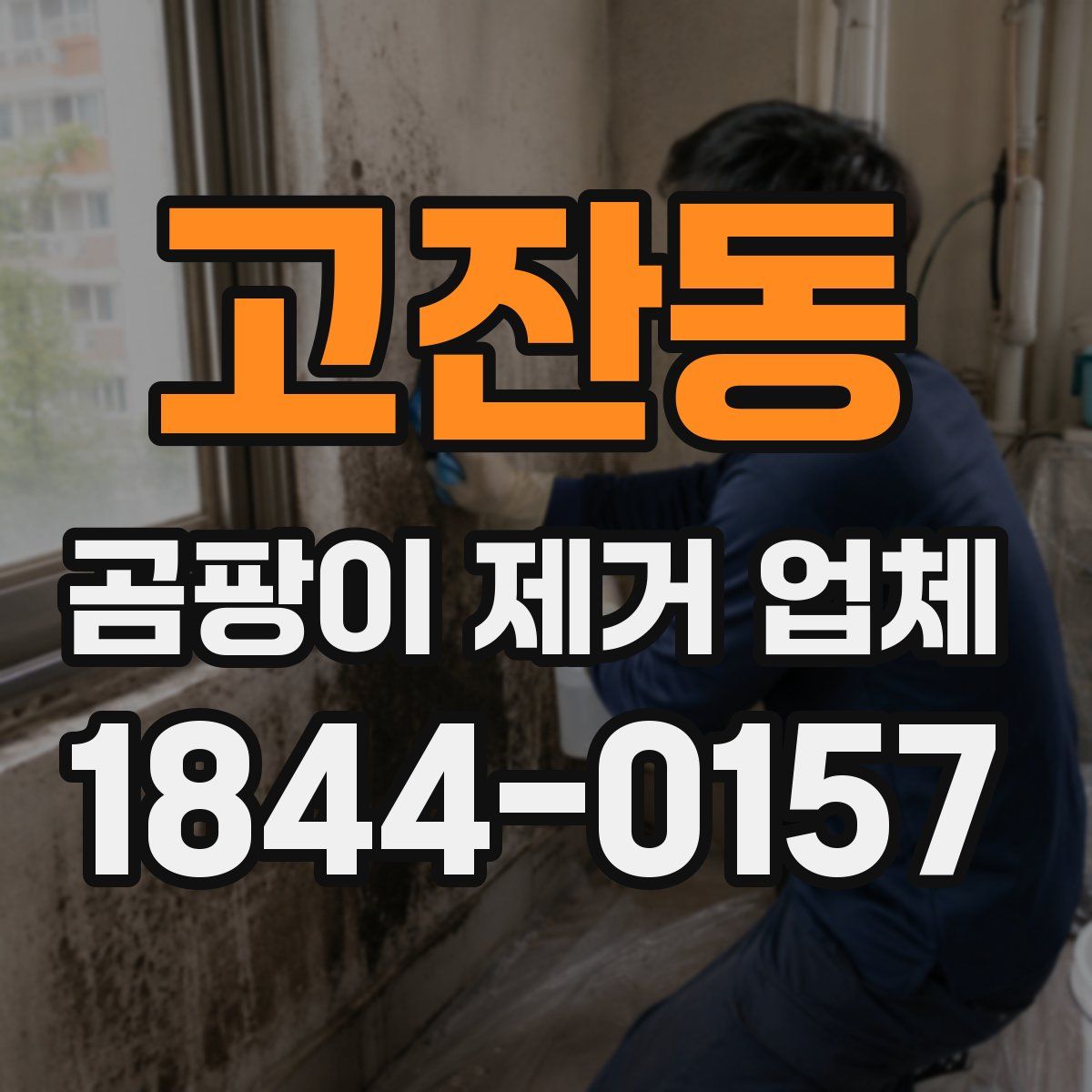 고잔동 곰팡이 제거 업체