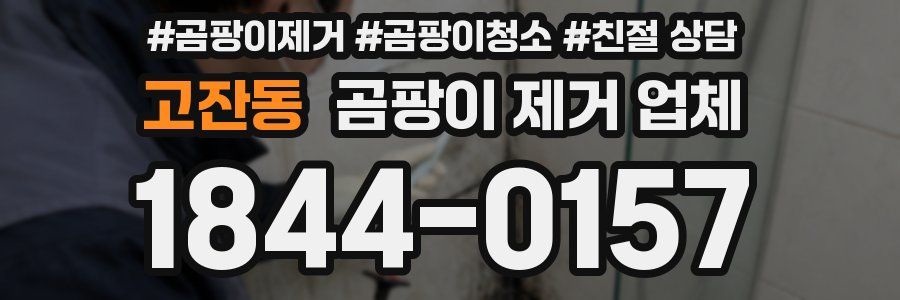 고잔동 곰팡이 제거 업체