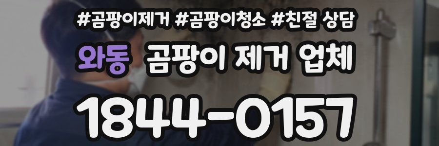 와동 곰팡이 제거 업체