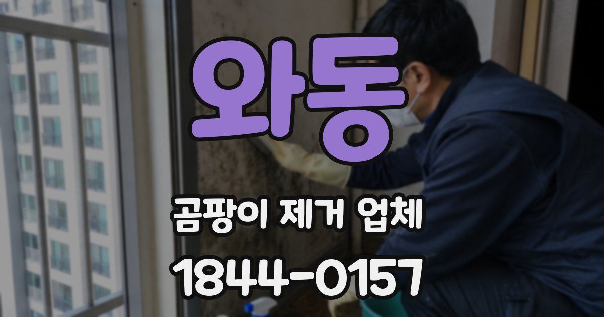 와동 곰팡이 제거 업체