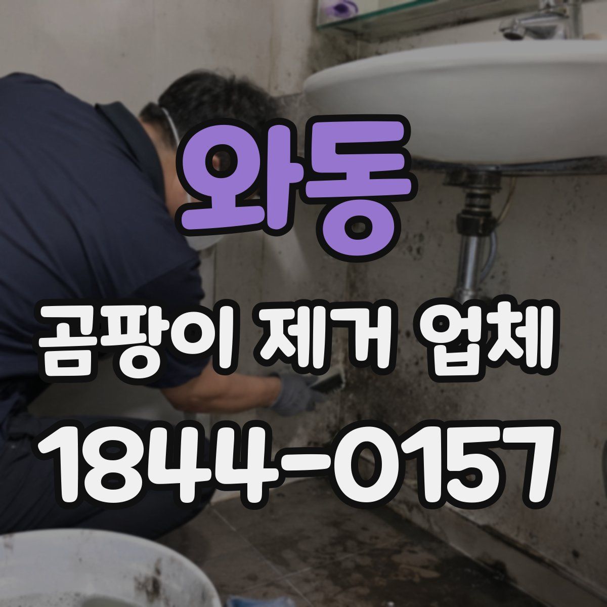 와동 곰팡이 제거 업체