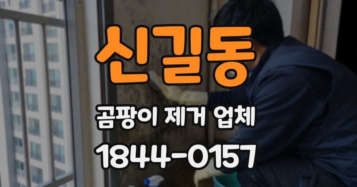 신길동 곰팡이 제거 업체
