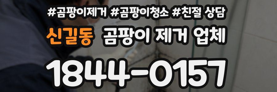 신길동 곰팡이 제거 업체