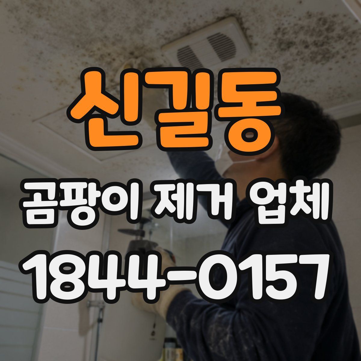 신길동 곰팡이 제거 업체