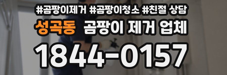 성곡동 곰팡이 제거 업체