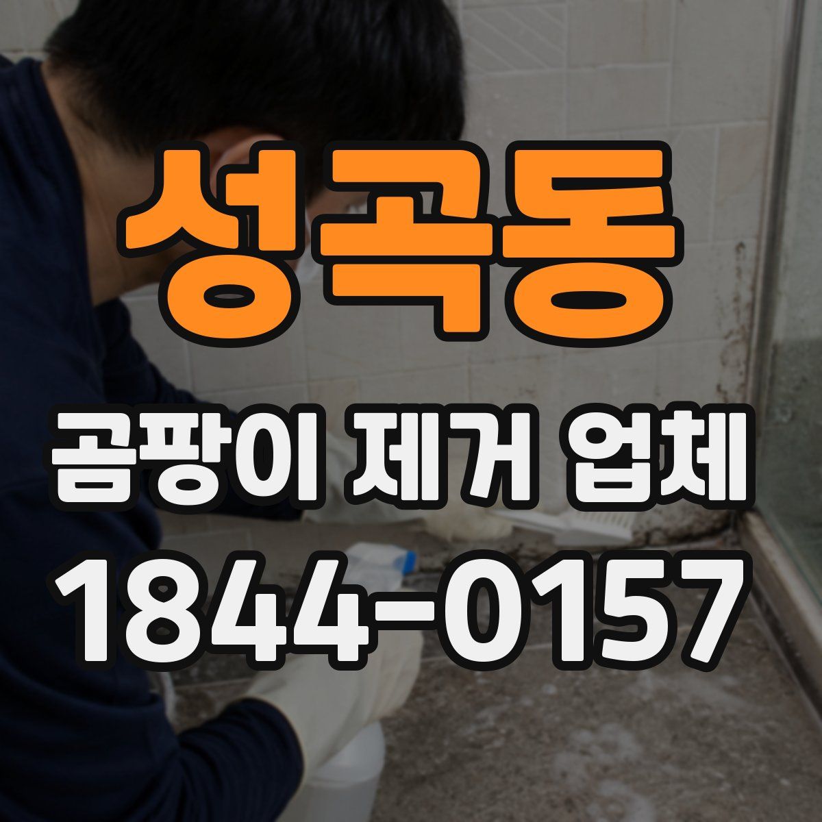 성곡동 곰팡이 제거 업체