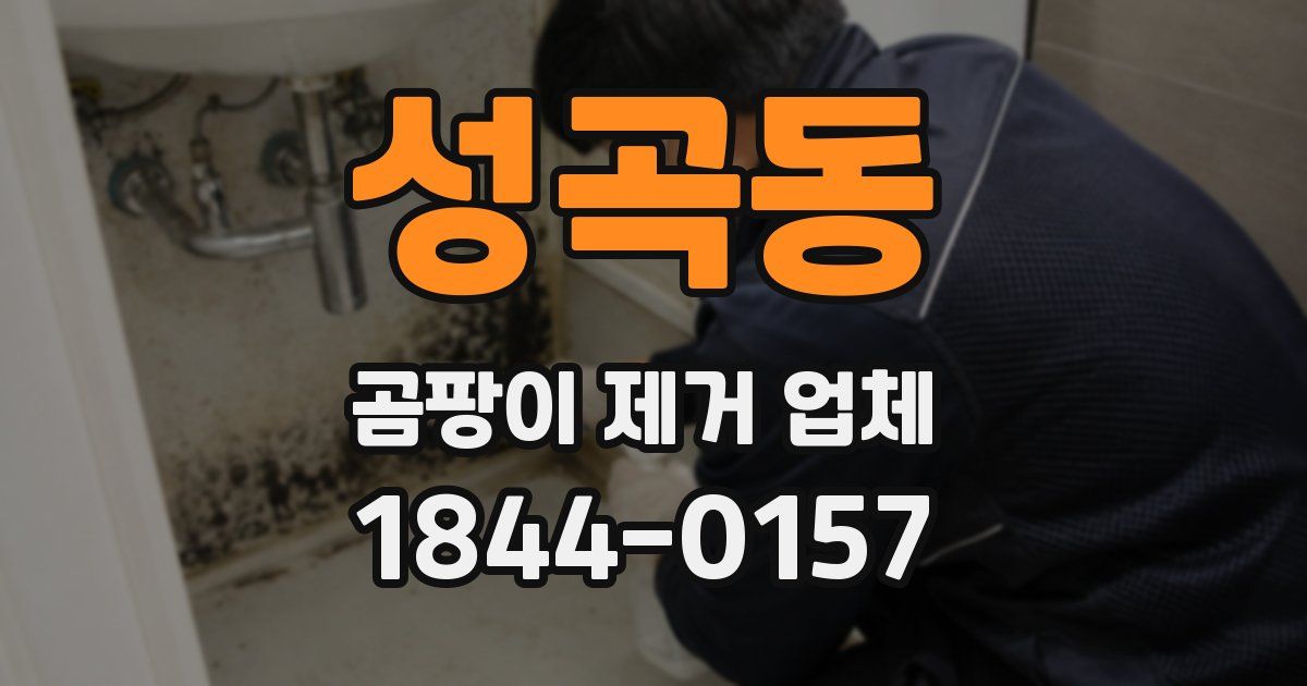 성곡동 곰팡이 제거 업체