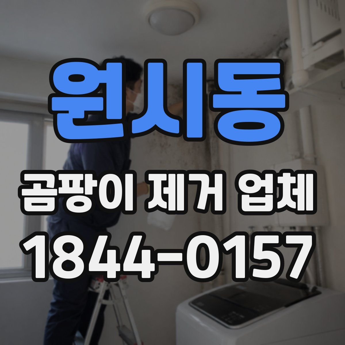 원시동 곰팡이 제거 업체