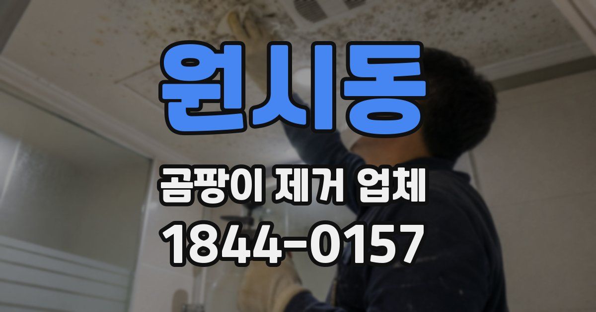 원시동 곰팡이 제거 업체