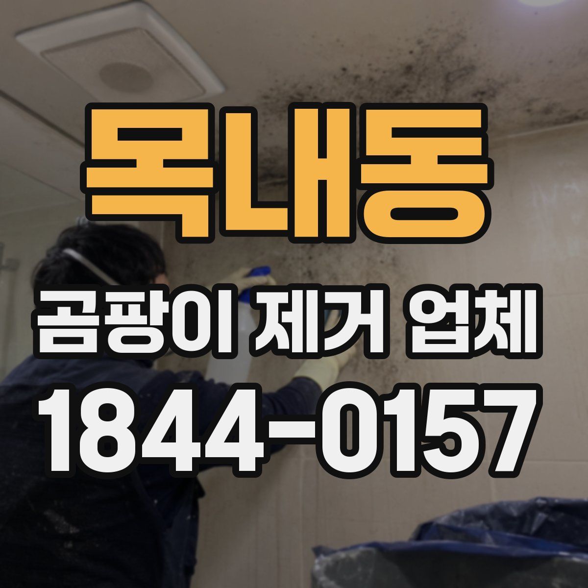 목내동 곰팡이 제거 업체