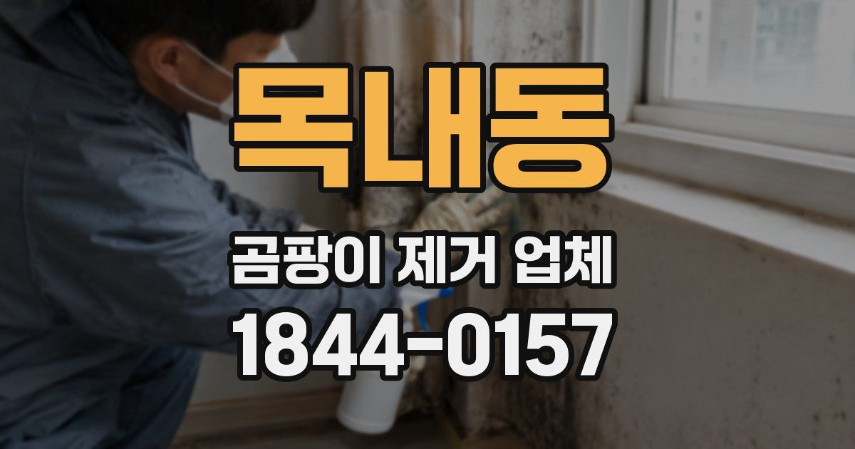목내동 곰팡이 제거 업체