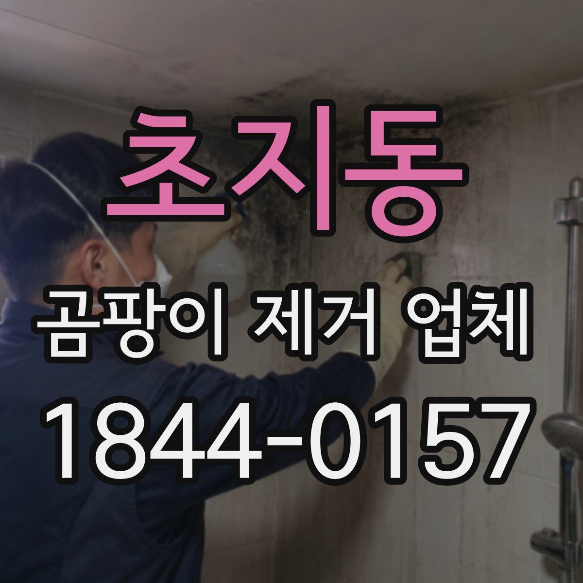 초지동 곰팡이 제거 업체
