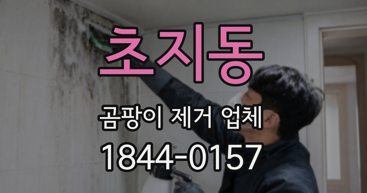 초지동 곰팡이 제거 업체