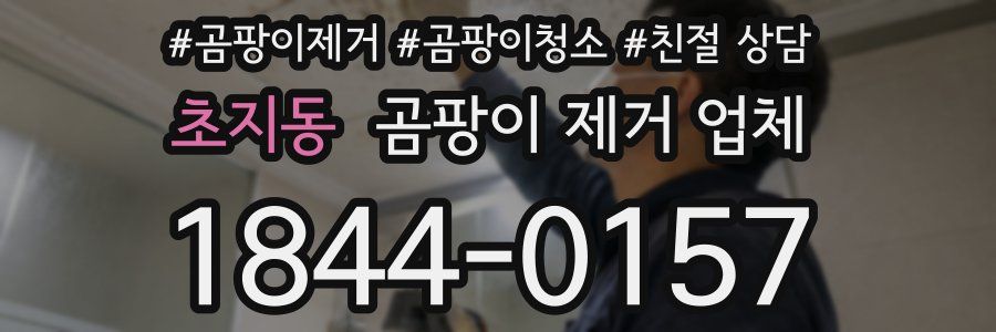 초지동 곰팡이 제거 업체