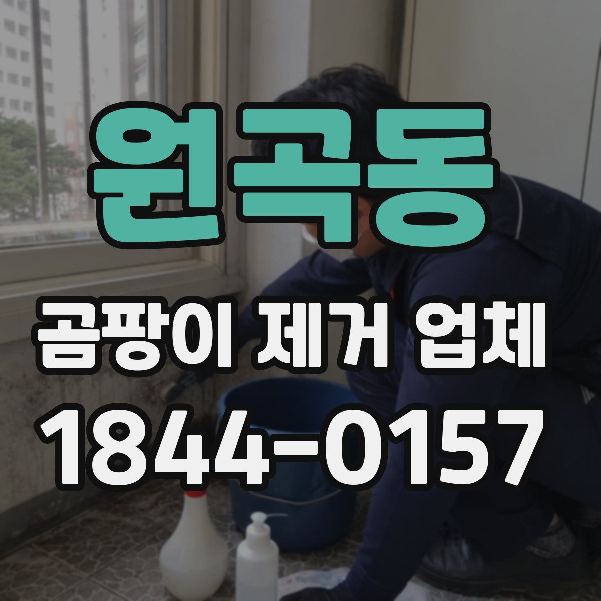 원곡동 곰팡이 제거 업체