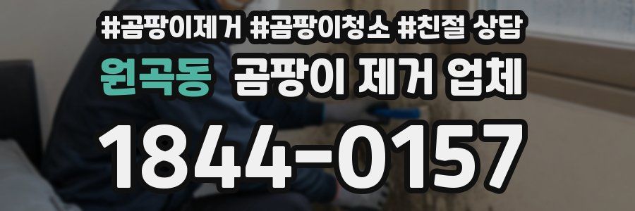 원곡동 곰팡이 제거 업체
