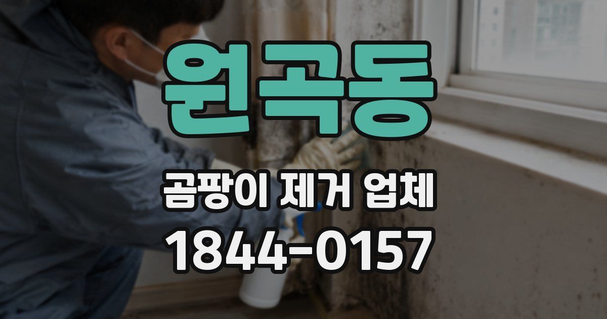 원곡동 곰팡이 제거 업체