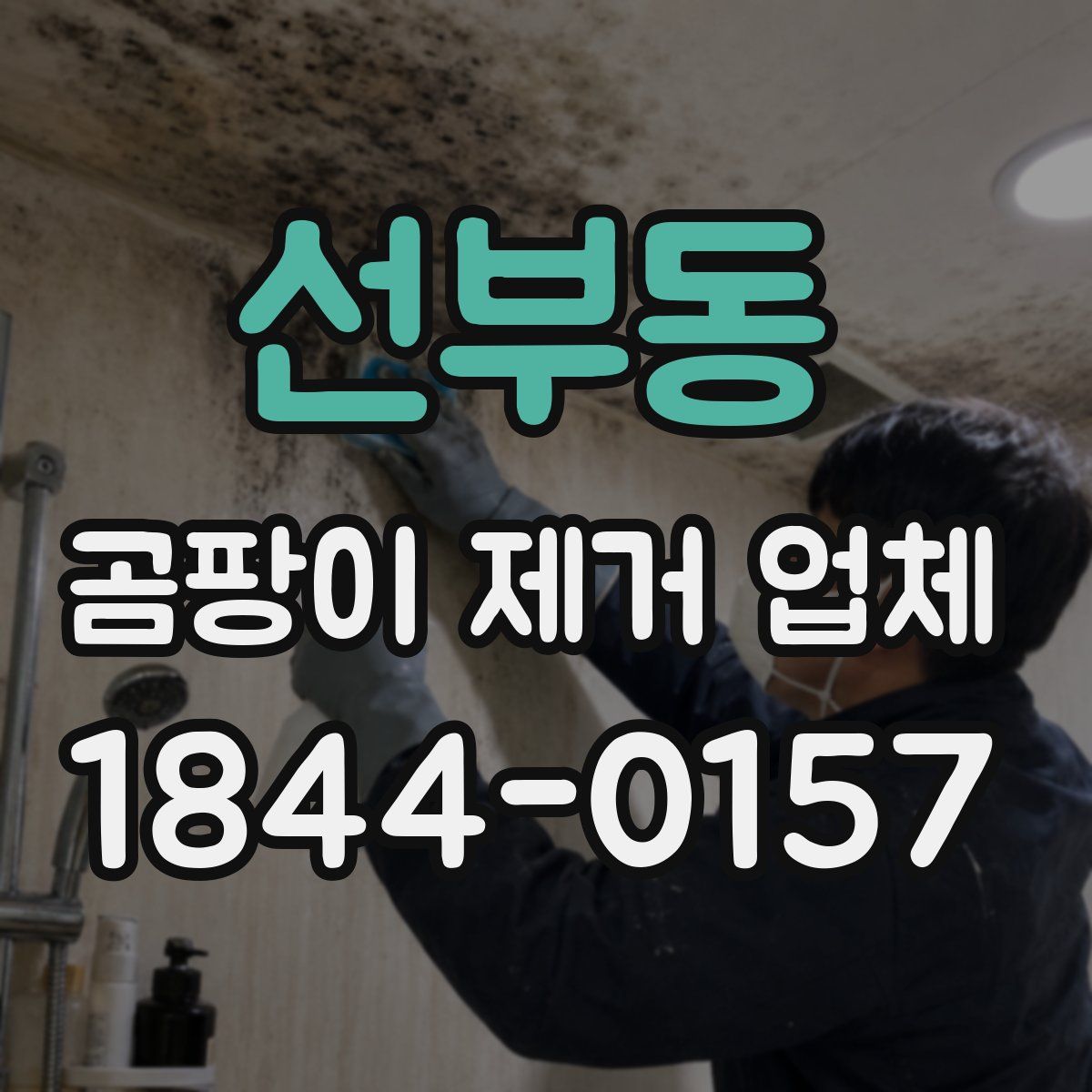 선부동 곰팡이 제거 업체