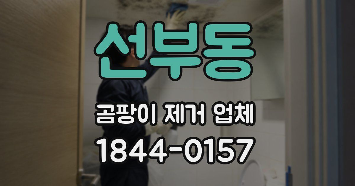 선부동 곰팡이 제거 업체