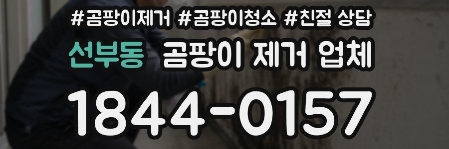 선부동 곰팡이 제거 업체
