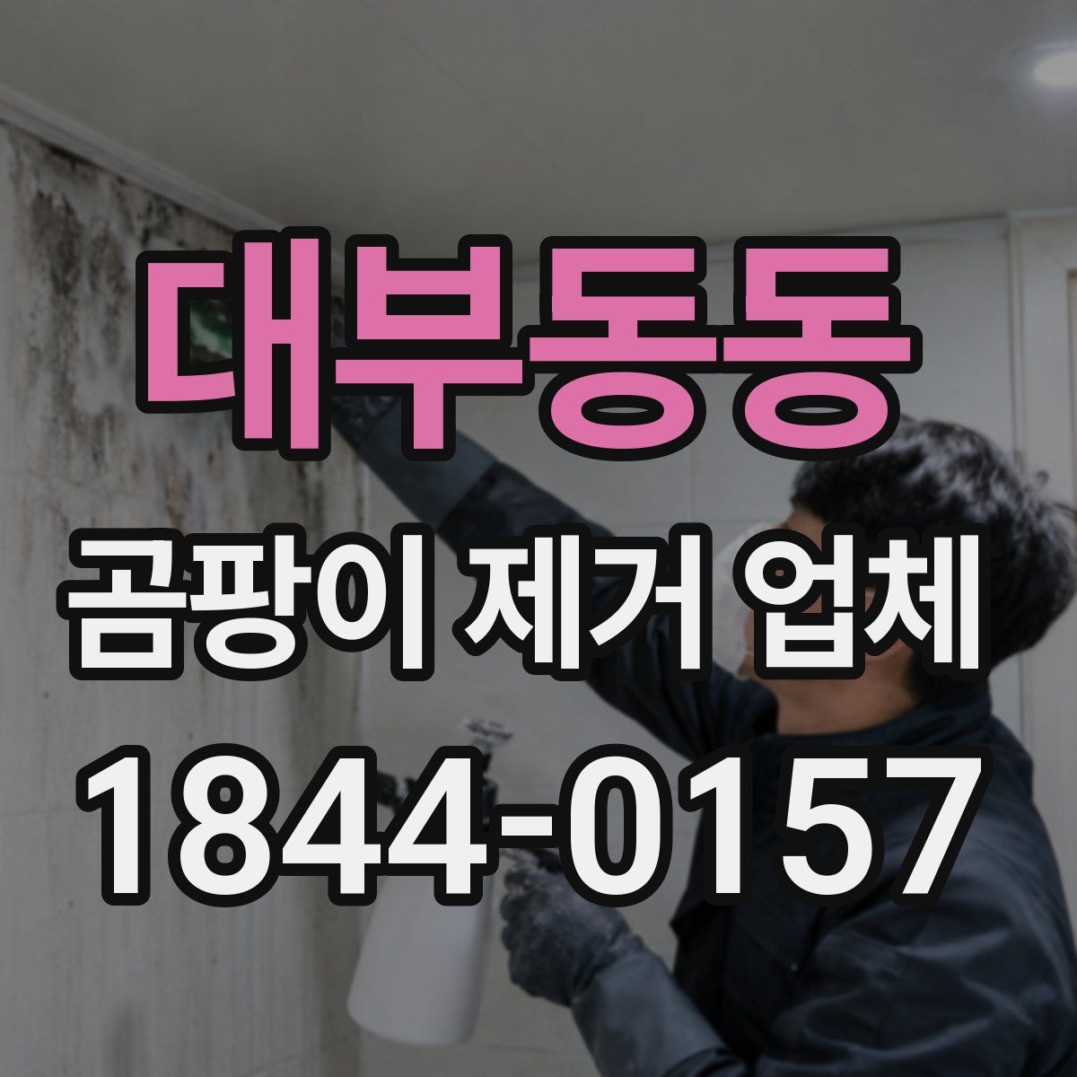 대부동동 곰팡이 제거 업체
